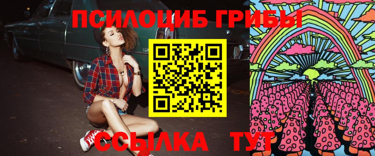 Туапсе  Псилоцибиновые грибы Psilocybe  Вход с VPN 
