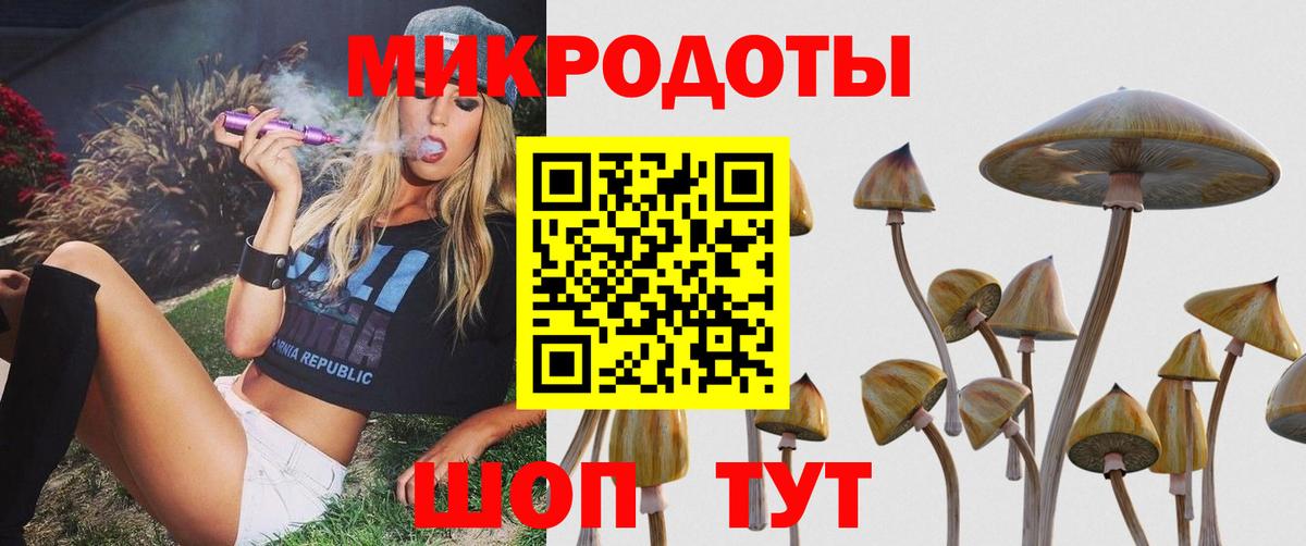 Галлюциногенные грибы Psilocybe Туапсе